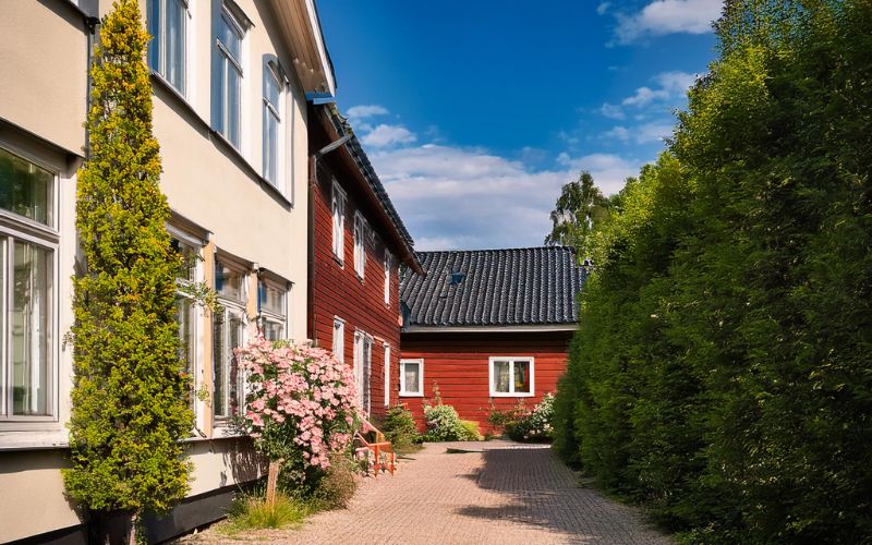 8. Fönstermålning Förläng Livslängden på Dina Fönster (1)